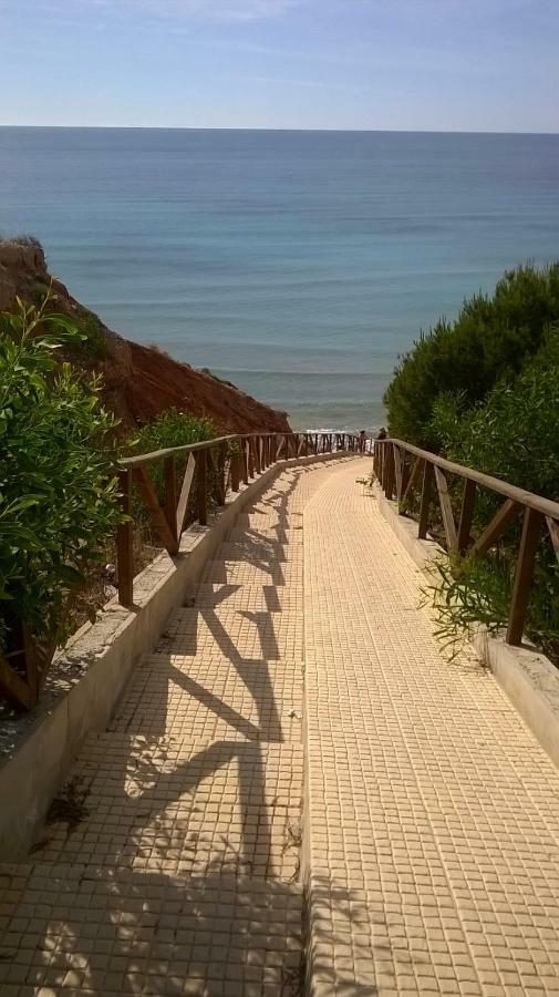 Apartamento Mandarin Playamarina II Orihuela Luaran gambar